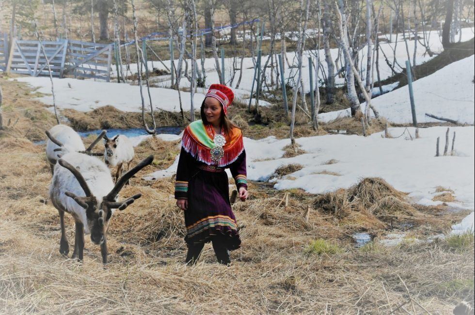 KONKURRANSE. Nå kan man delta i en fotokonkurranse med samisk tema. Dette bildet viser Elin Oskal, en av reindriftsutøverne i Indre Salten.
 Foto: Maria Edvardsen