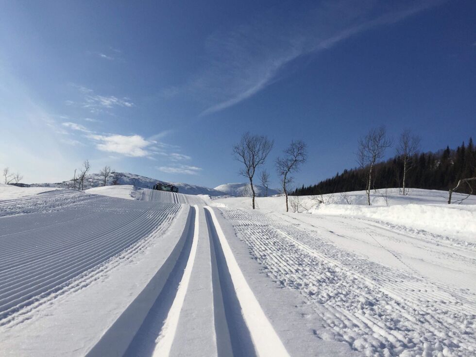 Det meldes om supre skiforhold i Valnesfjord. Torsdag settes det klassisk-spor. Her et bilde fra traseen til Valnesfjord rundt.