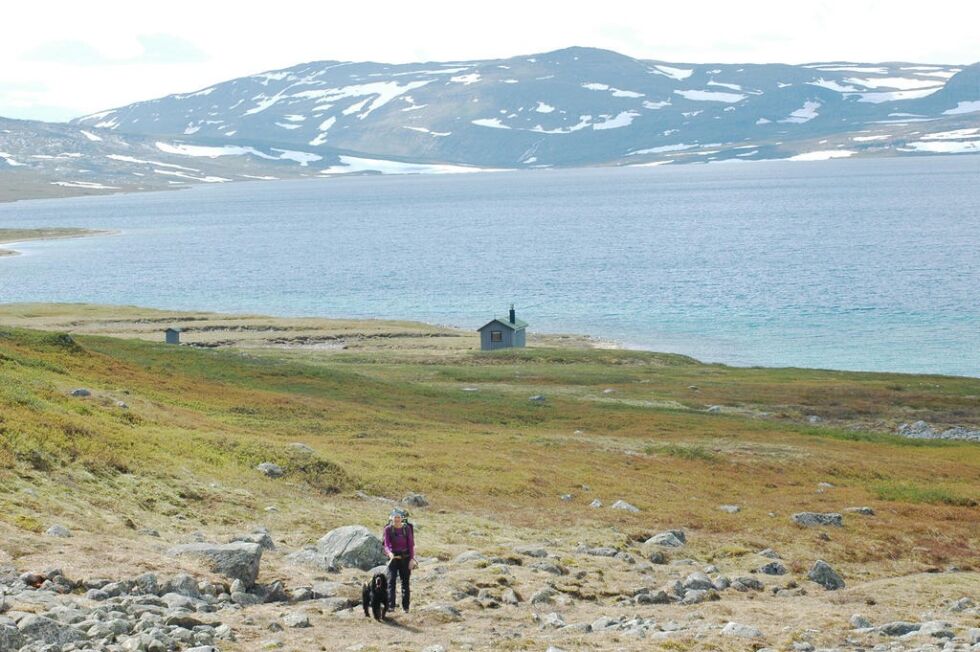 SALTFJELLET. Store områder i Nordland, slik som her ved Bjellåvatnet på Saltfjellet, vil bli omfattet av en ny forvaltningsordning for statsgrunn.
 Foto: Trygve Næss (arkiv)