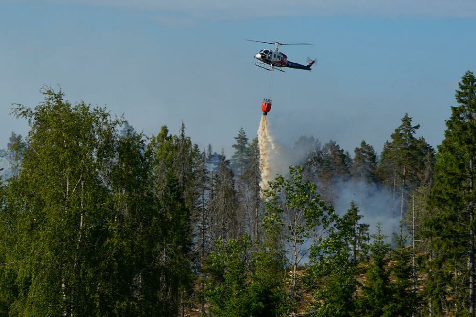 Bålforbudet innføres for å unngå skogbranner. Illustrasjonsfoto.
 Foto: Lise Åserud / NTB
