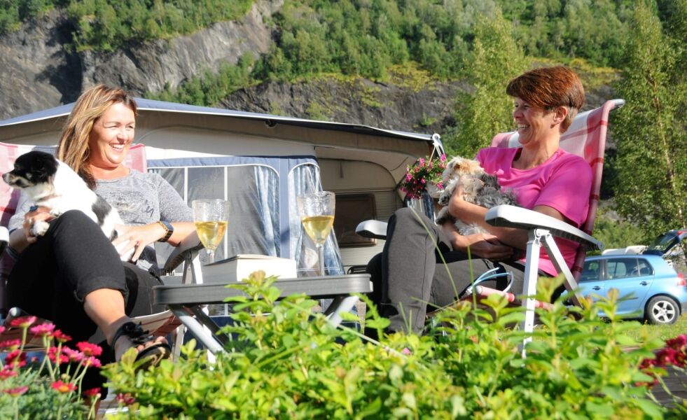 SOSIALT FERIESTED. For Rita Østensen og Anja Blomquist er det perfekt å feriere i campingvogna, som de har stående fast på Øyra camping i Sørfold. - Det forutsetter at man er litt sosial, mener de. Hundene Casey og Sirius er enige i det.
