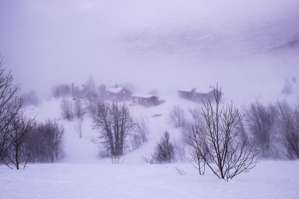 Det ventes liten storm i Salten på tirsdag.
 Foto: Cato A. Hultmann