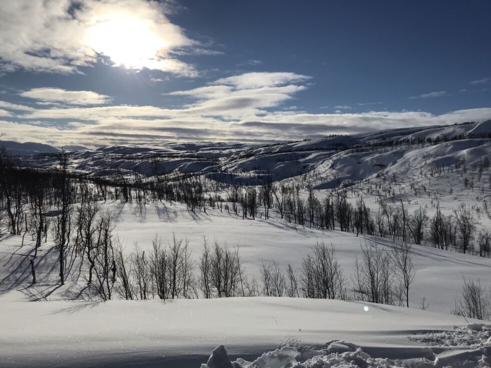 Flott vinterdag i Sulisfjellet.
 Foto: Monica J. Langnes