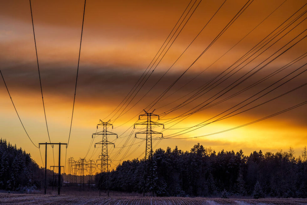 SPÅR NEDGANG. Neste år forventer eksperter at strømprisene i Sør-Norge vil bli lavere enn i år.
 Foto: Håkon Mosvold Larsen / NTB