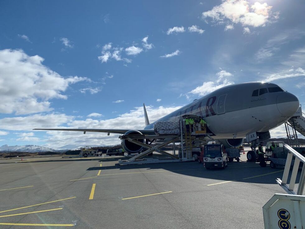 SJØMATFLY. Det første sjømatflyet landet på Bodø lufthavn torsdag.
 Foto: Bodø Lufthavnutvikling