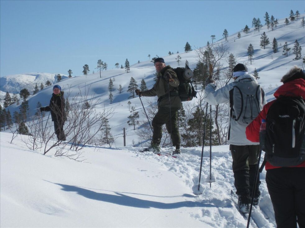FAMILIETUR. Hege Ruud anbefaler en skitur fra Ytterstrøksnes til Haugan og Jordbru i Sørfold. Terrenget er lettkupert og passer for hele familien. Foto: Hege Ruud