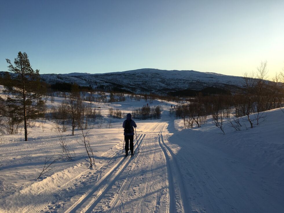 Vi er godt forspent med skiløyper her i Salten. Som i Valnesfjord, der skigåerne skryter av fine og barnevennlige løyper.
 Foto: Eva S. Winther