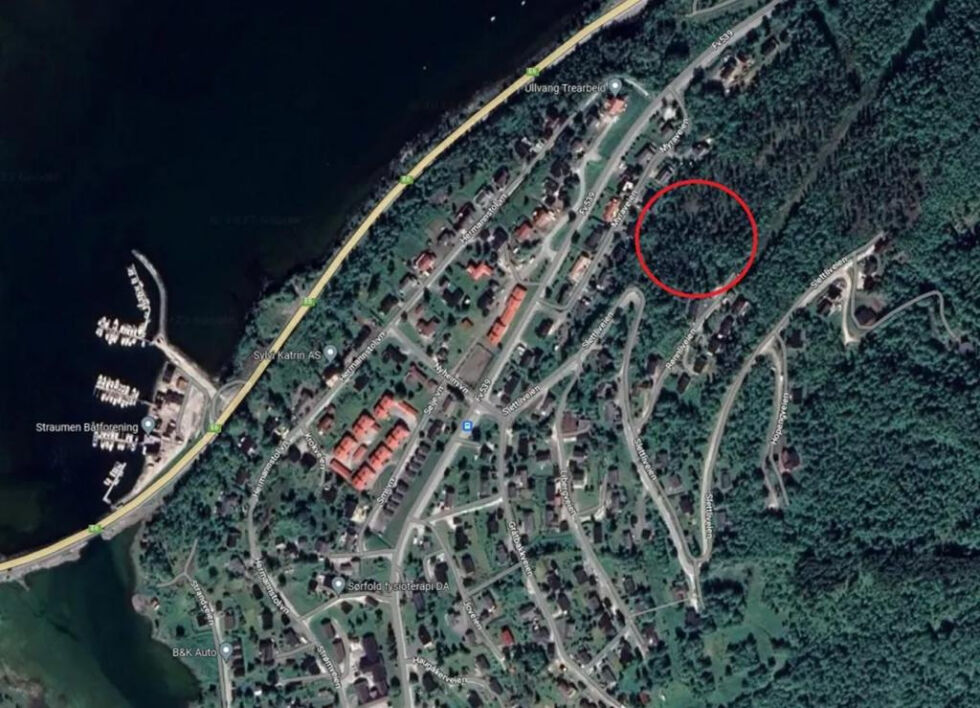 Den røde ringen markerer området mellom Myraveien og Slettliveien på Straumen der det er satt av plass til boligtomter. Foto: Skjermdump fra Google maps.