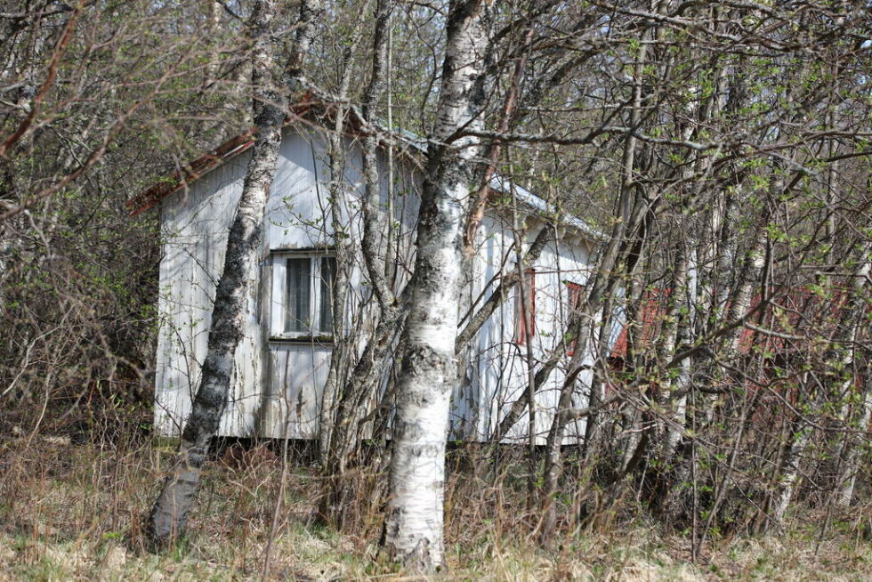 FORFALLEN. 26. april 2020 ble en rumensk mann funnet død i denne forfalne hytta på Klungset. Det antas at han lå død i fem år før han ble funnet.
 Foto: Lise Ailin Rosvoll Berntzen