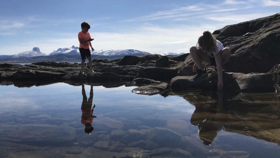 VINNERBILDET. Sol, sjø, fjell og vann i skjønn forening i Bodøsjøen søndag 19.mai: «Noe spennende i kulpen her kanskje?».
 Foto: Heidi P. Unosen