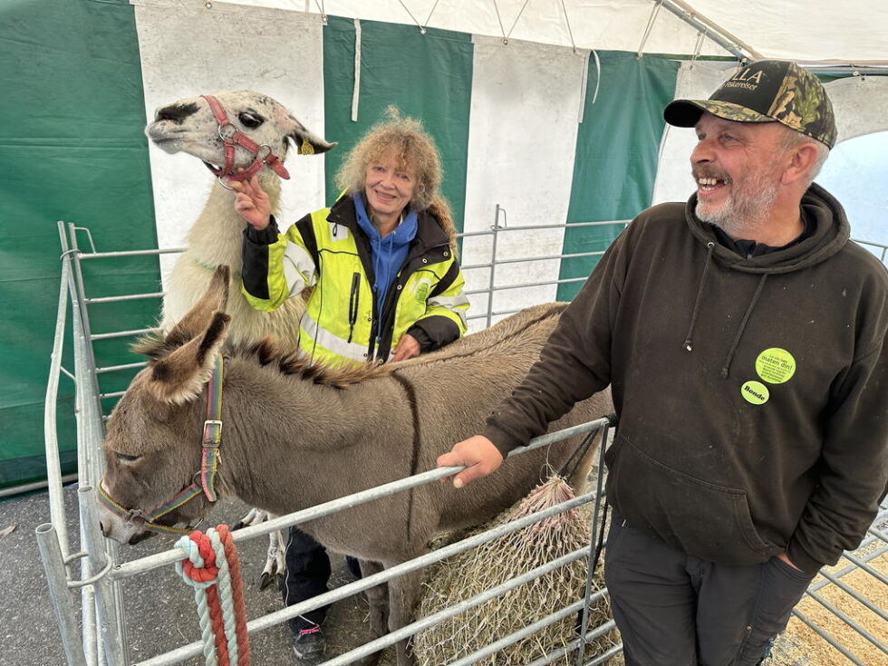 FAMILIEBILDE. - Fruen fikk Laila i gave av meg til jul et år. Og det var suksess, forklarer Kjell Larsen, sammen med lamaen Laila, fruen Anne Elin Olsen, og eselet Tussi, på Salten mat i helgen.
 Foto: Erica Restoften