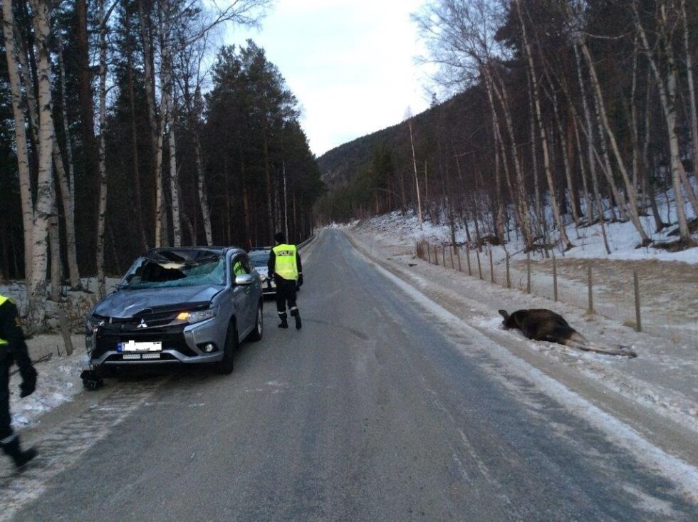 På E6 ved Storjord i Saltdal kolliderte en personbil med en elg onsdag formiddag. Det ble omfattende skader på kjøretøyet.
 Foto: Politiet