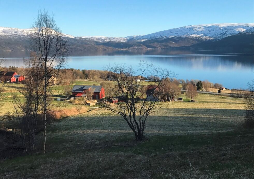 Vårlig stemning på Venset med en blank og stille Skjerstadfjord.
