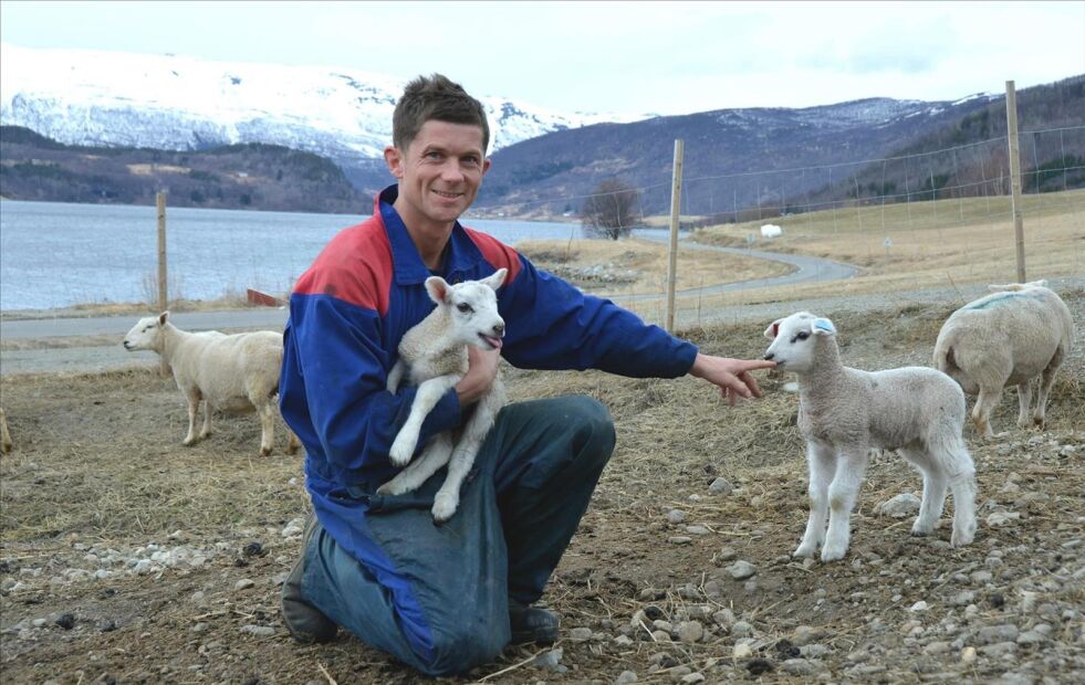NYTT LIV. Sauebonde Ørjan Simonsen (31) i Misvær har travle dager med lamming. Han er en av flere unge bønder som har etablert seg i Misvær/ Skjerstad-regionen. Alle foto: Maria Trondsen