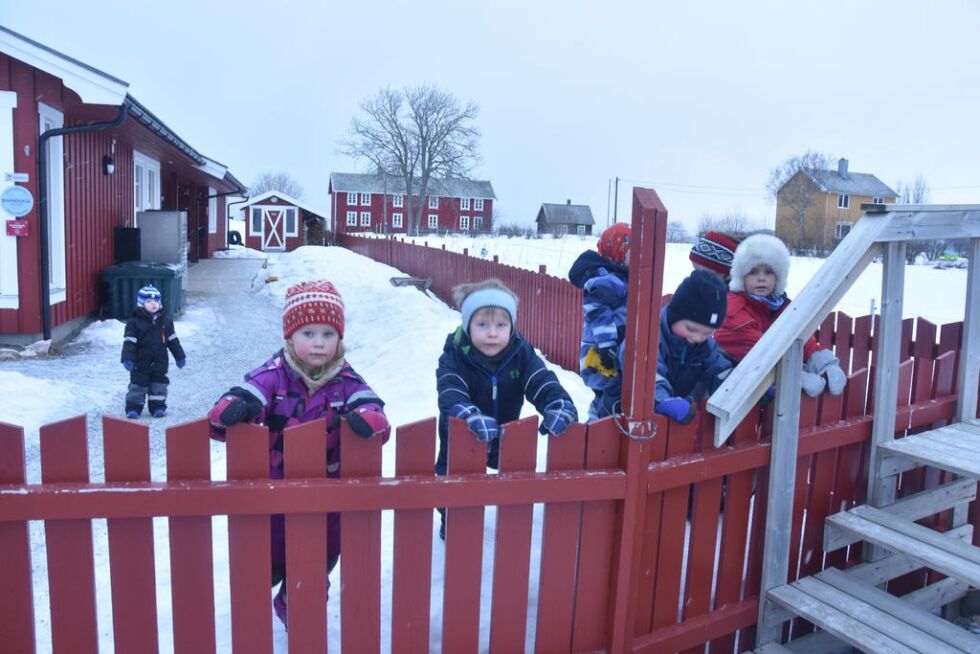 FORNØYDE FORELDRE. Den privatdrevne Stemland gårdsbarnehage klarer tredje år på rad å oppnå toppkarakterer hos foreldrene.
 Foto: Sylvia Bredal