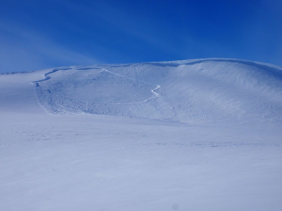 Skredfaren øker i Salten, spesielt i det området der Saltfjellet ligger. Her fra et tidligere ras under Bolnatinden.
 Foto: Statskog fjelltjenesten