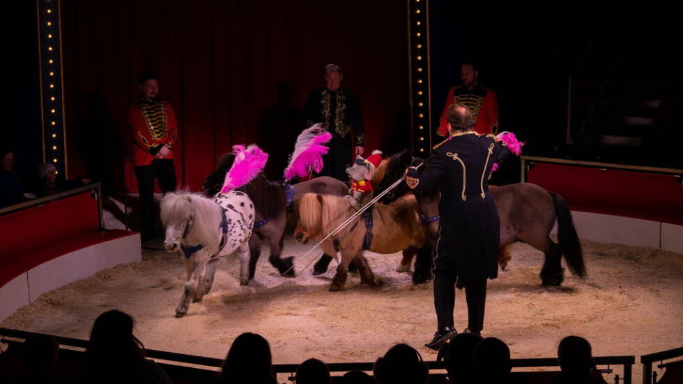 PONNIER. Sirkusdirektør Jan Ketil Smødal deltar selv med numre i forestillingen, blant annet med ponnidressur.
 Foto: Cirkus Agora