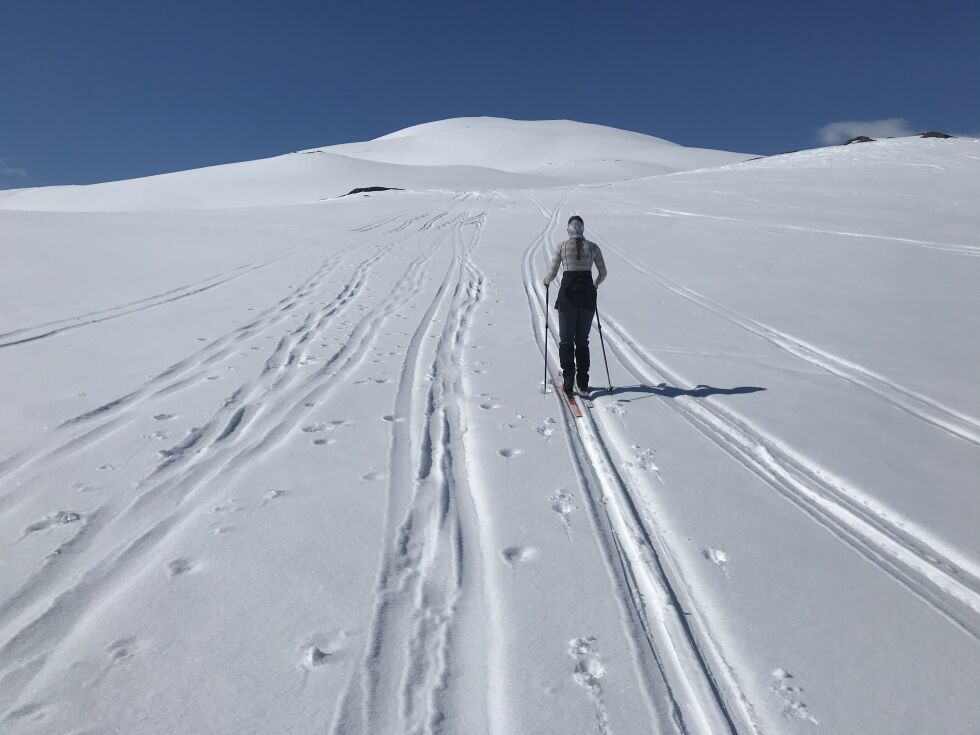 Det er fortsatt skiføre i fjellet og gode muligheter for å komme seg på tur kommende uke.
 Foto: Sylvia Bredal