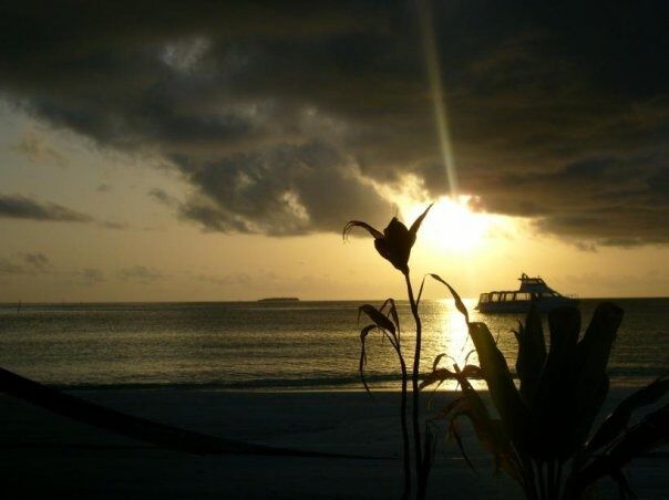 Det må ikke være solnedgang på Maldivene for at vi skal ha det fint. Det meste må gjøres i hverdagen.
 Foto: Espen Johansen