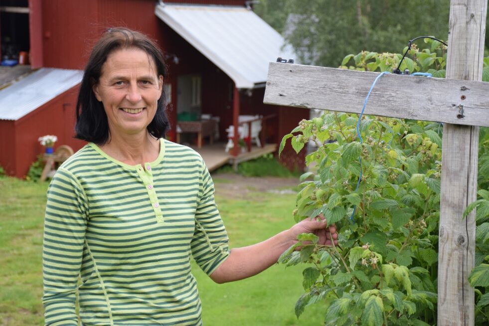 BÆRBONDE. Borghild Wingan er bærbonde på Bjørklund gård på Strøksnes i Sørfold.
 Foto: Eva S. Winther