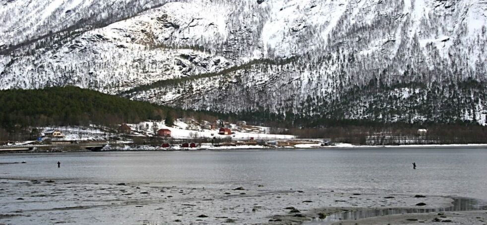 BEGRENSES. Fiske etter sjøørret i fjorden, slik som her i Saksenvik, er populært på ettervinteren. Det kan bli begrenset, men først og fremst er det dorging etter sjøørret som Fylkesmannen i Nordland vil ha kontroll på. Foto: C.A. Hultmann